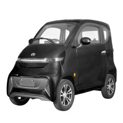 Elektrinis keturratis mini automobilis J4, 1kW 65AH EEC CE eMOTO
